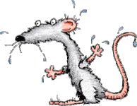 AvatarRR.gif