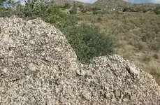 IMG_1663c.webp