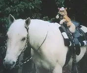 Jakehorseop.webp