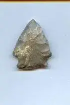 Small Gray Ponu.webp