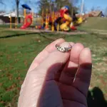 20210319_162446.webp