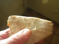 IMGP7907.webp