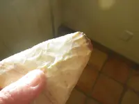 IMGP7908.webp