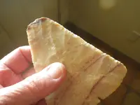 IMGP7909.webp