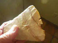 IMGP7910.webp