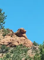 sphinx 20220613_101544 2.webp