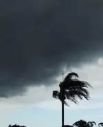 DSCN4252.webp