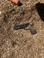 gun in situ.webp