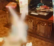 coffee table - doors closed.webp