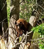 20220620_174748.webp