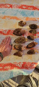 20220622_191748.webp