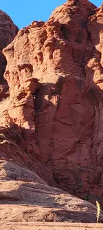 ear of sphinx cresent moon man20220612_064804.webp