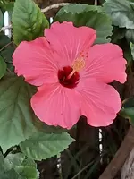 20220622_181423.webp