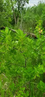 20220626_145059.webp