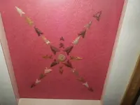 IMGP7949.webp
