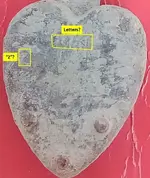 Heart clasp.webp