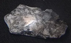 Silver H.webp