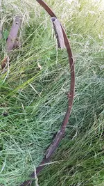 Wagon wheel rim in grass.webp