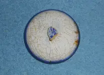 DSCN3865.webp