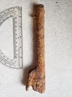 pistol.jpg pistol.jpg