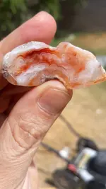 20220707_101142.webp