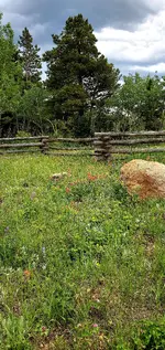 20220707_135147.webp
