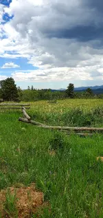 20220707_134741.webp