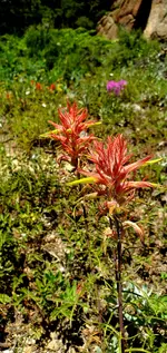 20220707_124625.webp
