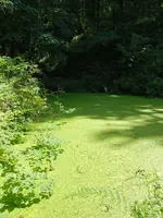 20220709_110804.webp