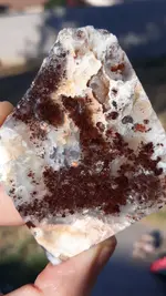 20220710_044642.webp