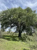 75F62853-698E-469C-937A-0D940C13597A.webp