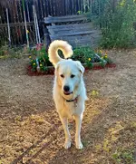 20220712_064733.webp