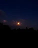 20220712_210431.webp