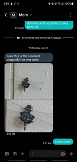 Screenshot_20220713-080334_Messages.webp