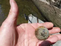 DSCF2872.webp