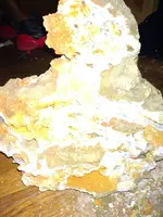 IMG_20220713_025344276.webp