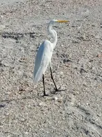 20220615_090901.webp