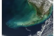 Florida.A2003336.1850_th.webp