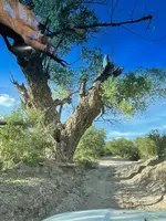 69D61082-7D0A-4F77-9AEB-6B193478E157.webp