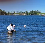 image000000(10).webp