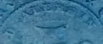 Alersin.jpg
