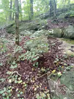 20210915_100101.webp