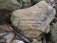 IMG_20220719_094408641.jpg
