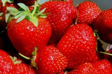 Strawberries_sml.jpg