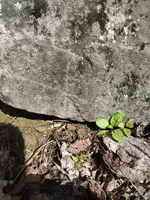 IMG_20220722_113328222.webp