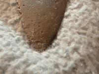 20220714_223404.gif