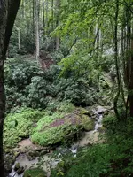 IMG_20220726_191202218_HDR.jpg