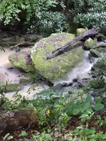 IMG_20220727_185554879.webp