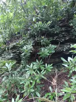 IMG_20220727_110807859.webp