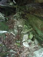 IMG_20220727_183058354.webp